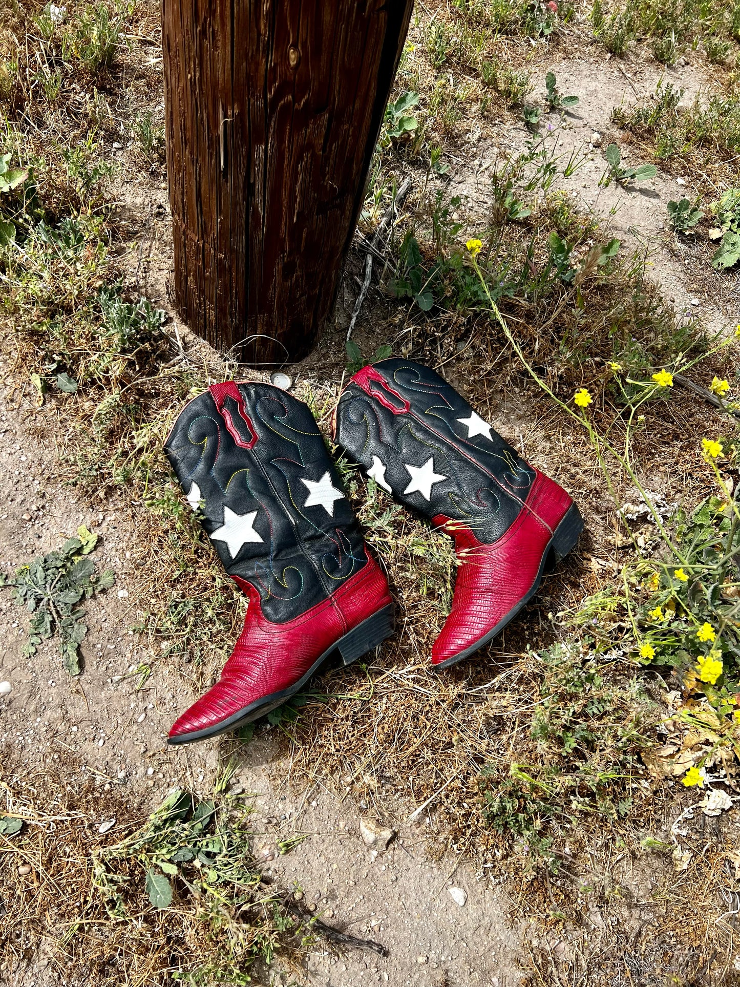Rainbow Rodeo Western Boot