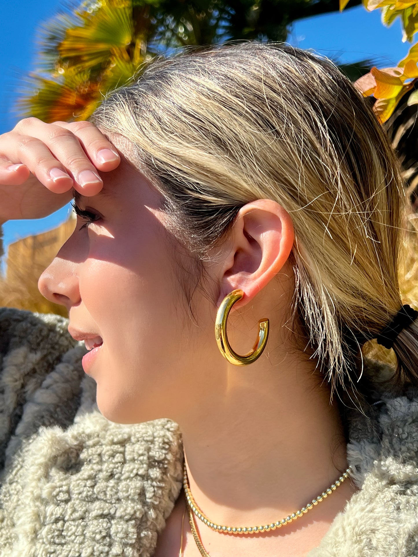 Luxe Tube Hoops