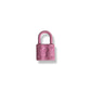 Enamel Lock Charm