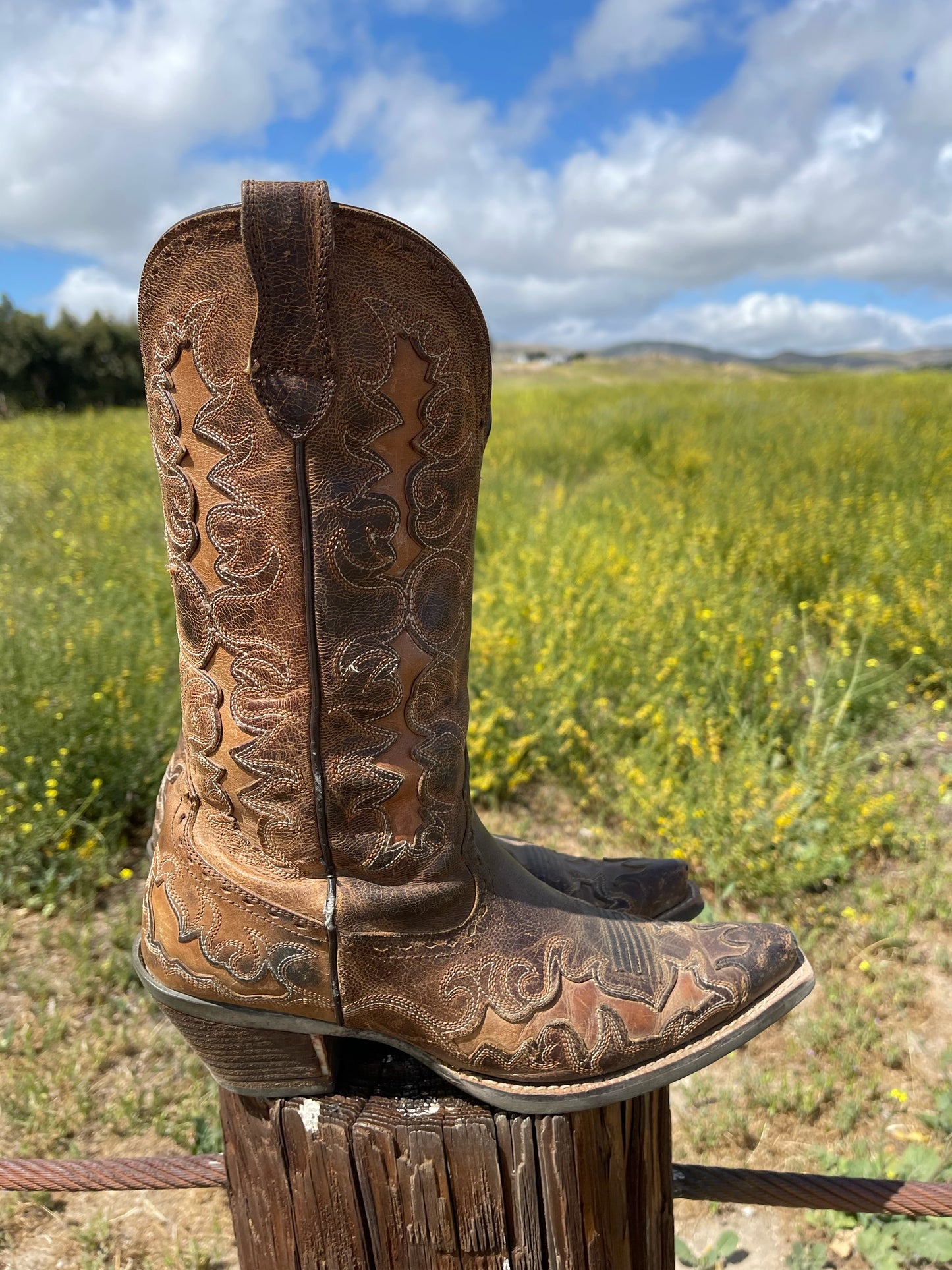 Ariat Jilted Leather Boots