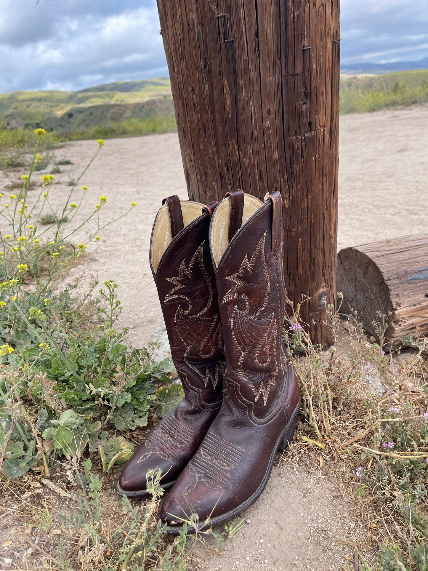 Sage Steel Tip Western Boot