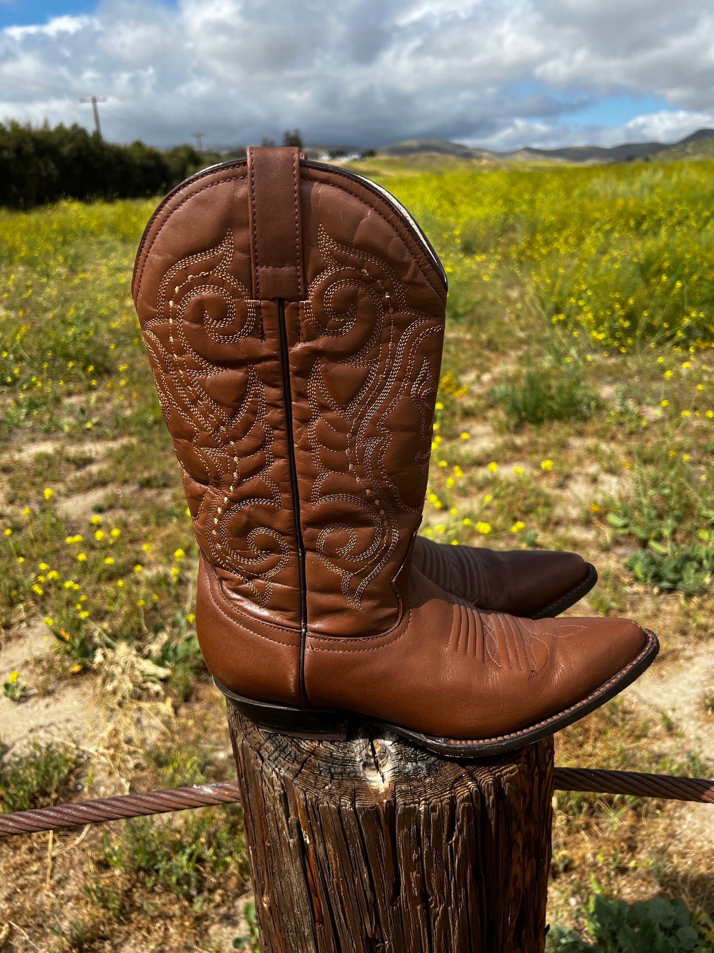 Jornada Tan Western Boot