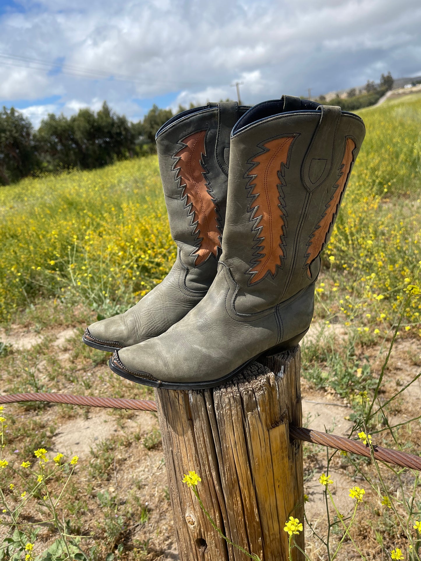 Sage Steel Tip Western Boot